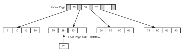 leaf page和index page都没有满.jpg